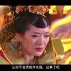 49tkcom澳彩资料图库下载 - 49tk安卓